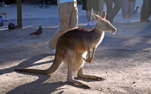 Gold Coast, Australia